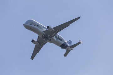 Bild 29 - BL2 Grossflottbeker THGC - TC SCC Berlin : Ergebnis: 2:7